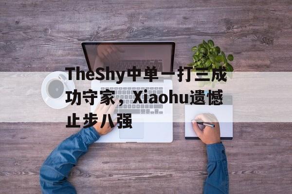 电子竞技真人游戏-TheShy中单一打三成功守家，Xiaohu遗憾止步八强